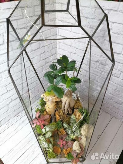 Флорариум Кристалл с бонсаем и водопадом