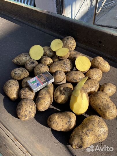 Продам картофель