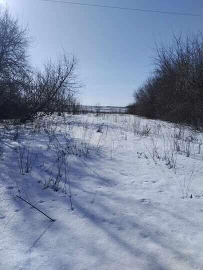 Участок 40 сот. (ИЖС)