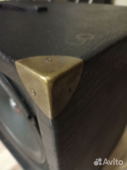 Гитарный кабинет 2х10