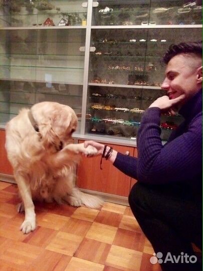 Ветеринарный врач