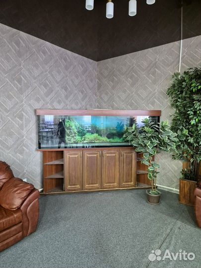 Аквариум