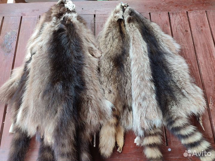 Выделанные шкуры