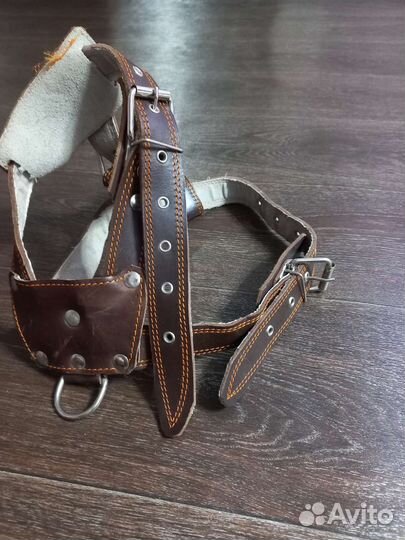 Шлейка для крупных собак