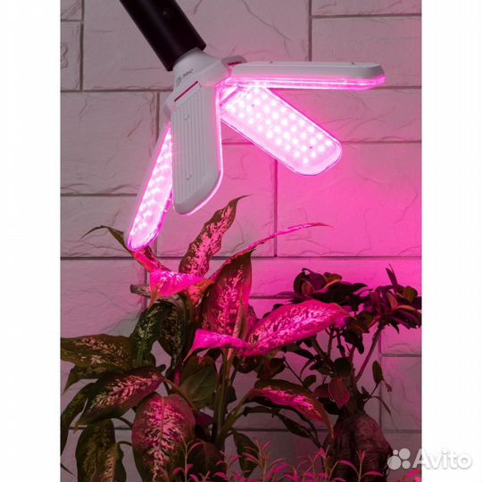 Фитолампа лепестковая для растений