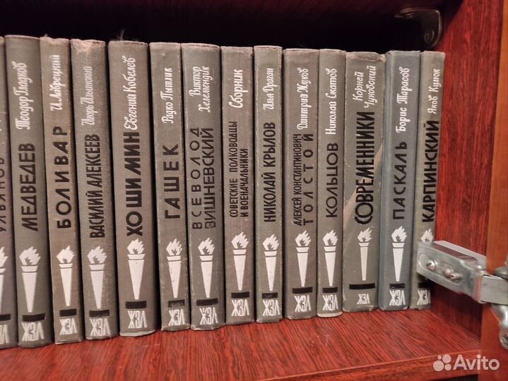 Книги серия жизнь замечательных людей жзл