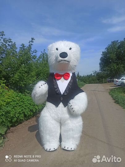 Поздравление от белого медведя по имени Тучка