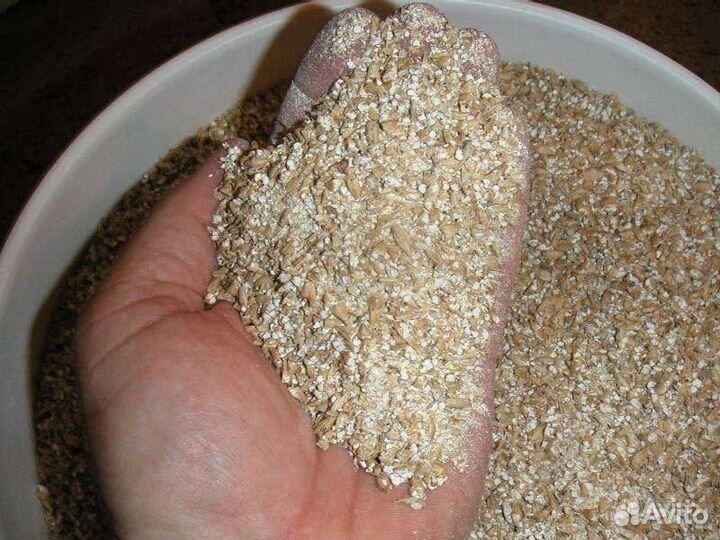 Дроблёнка ячменная