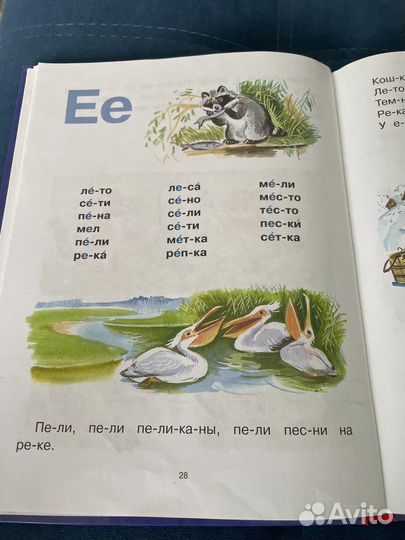 Букварь
