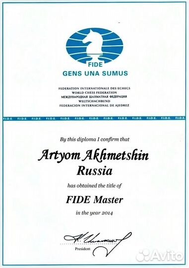 Тренер по шахматам(Мастер fide)