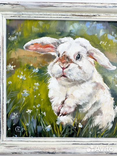 Картина маслом зайчик в рамке Картина с кроликом