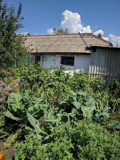 Дом 38 м² на участке 9,7 сот.