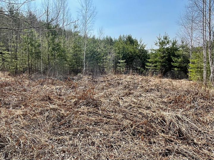 Участок 9 сот. (СНТ, ДНП)