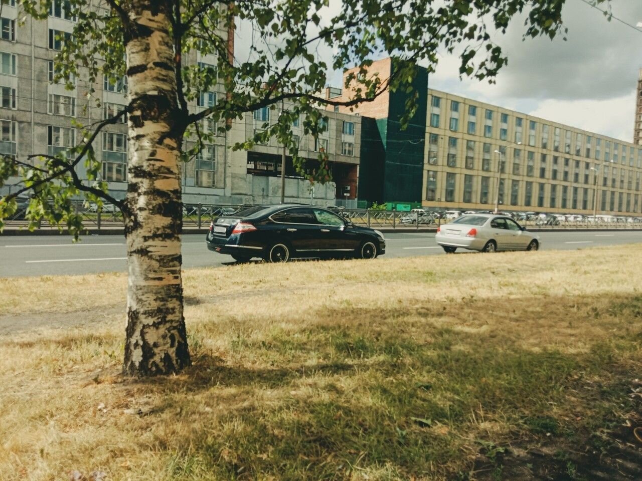 Nissan Teana: фото владельца