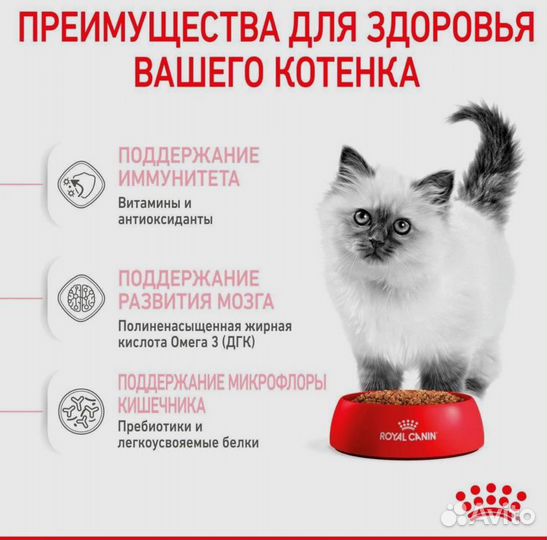 Корм для котят royal canin kitten 10 кг