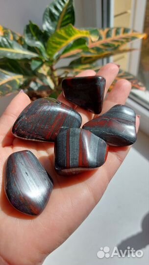 Редкий Джеспилит