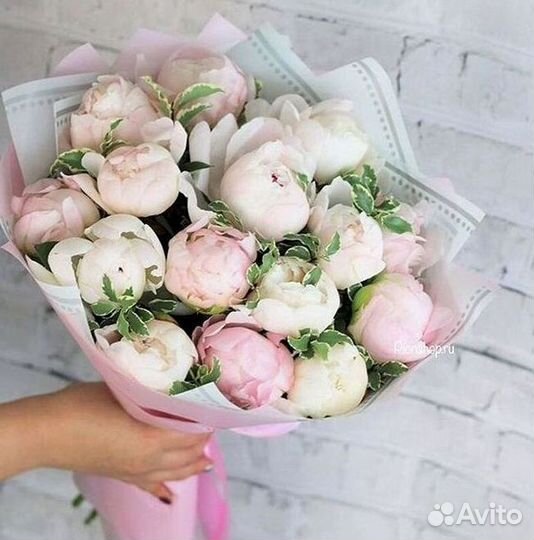 Пионы Розы Доставка