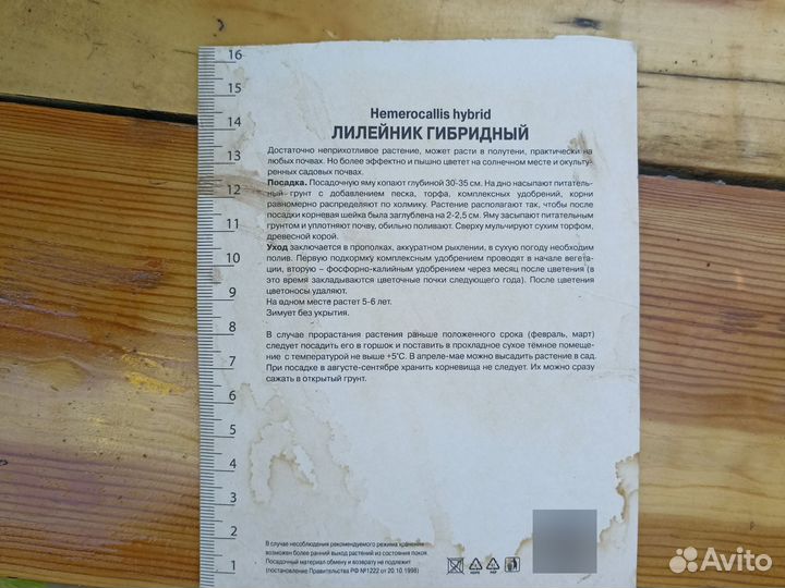 Лилейник
