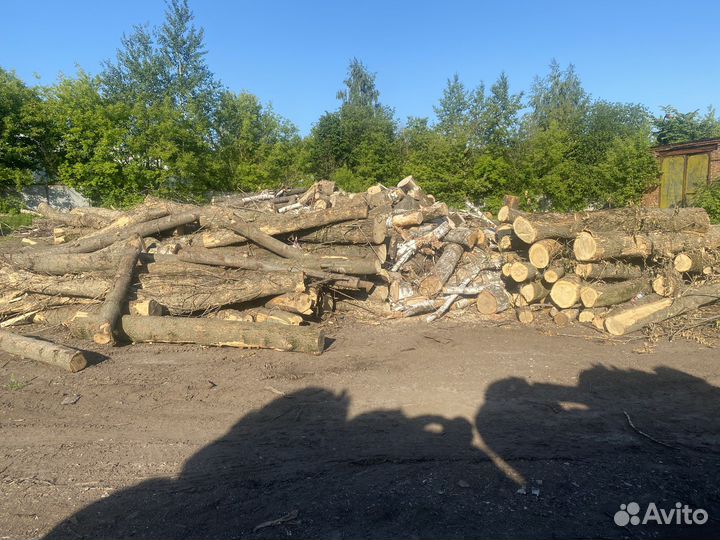 Лес кругляк на Дрова