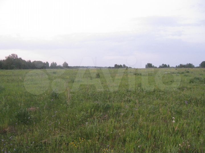 Участок 15 га (СНТ, ДНП)