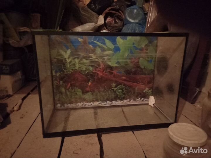 Террариум 80 литров