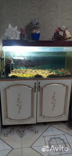 Аквариум 150 литров