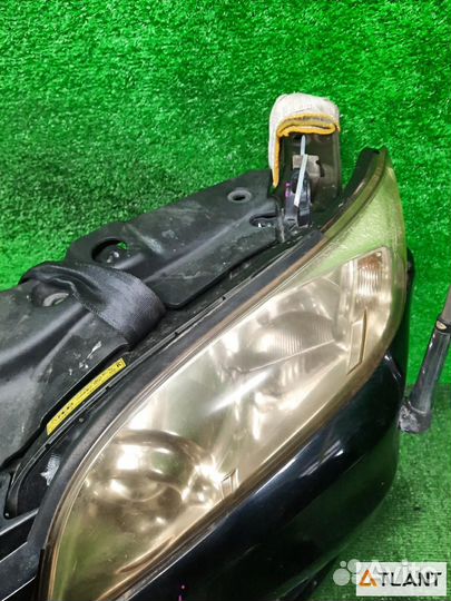 Nose cut toyota vanguard