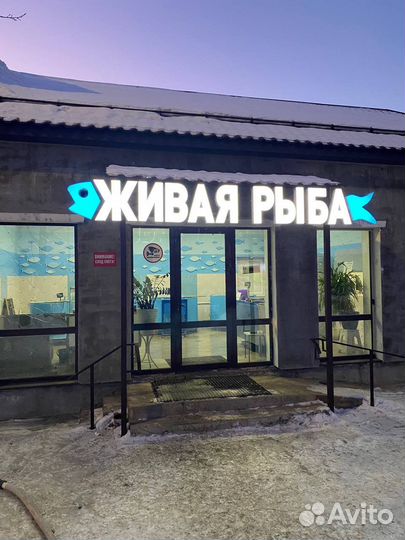Живая рыба