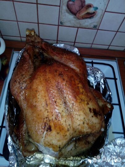 Мясо домашней индейки, Мясо гусей