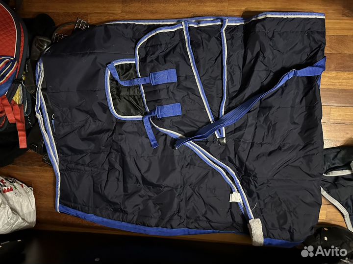 Для конного спорта для всадника