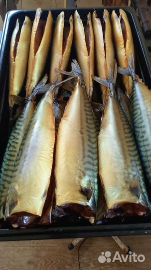 Скумбрия холодного копчения