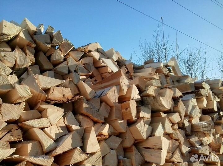 Дрова береза