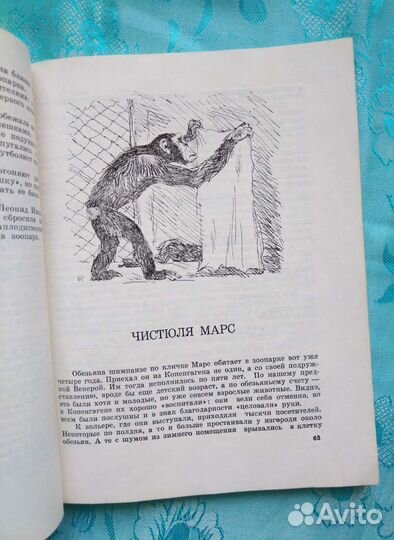 За вольерами зоопарков (1974)