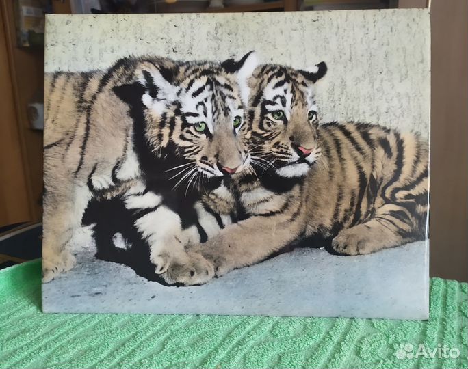 Фотосувенир СССР, винтаж