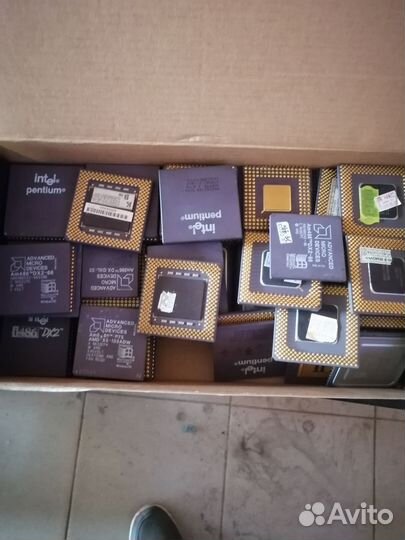 Керамические процессоры 20000 за килограмм