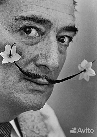 Сальвадор Дали Salvador Dali