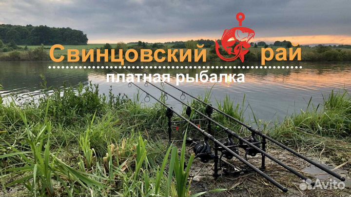 Платная рыбалка