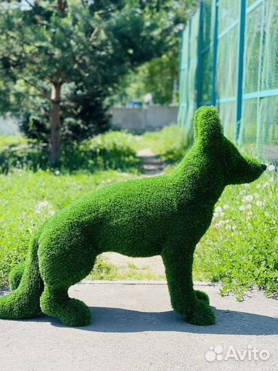 Фигура топиари, Немецкая овчарка