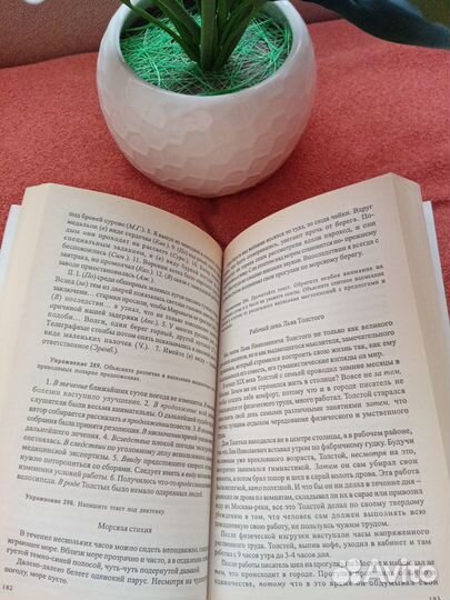 Розенталь, Голуб Русский язык. Орфография. Пункт