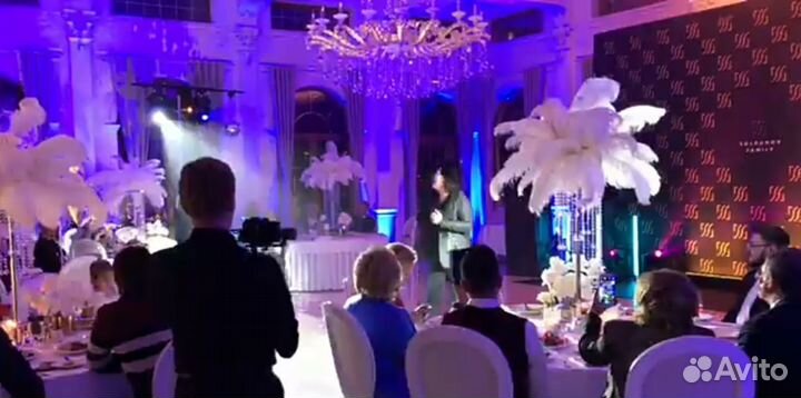 Аренда телевизора LED 49