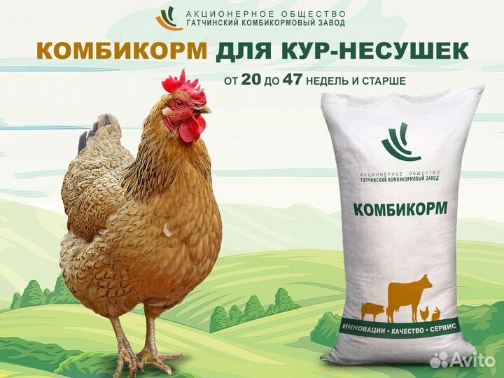 Комбикорма для птицы