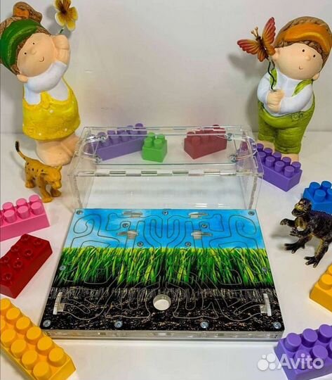 Муравьиная ферма формикарий