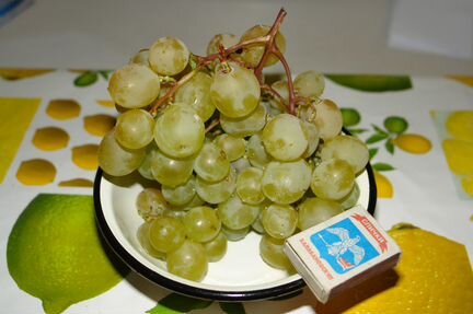 Саженцы крупноплодных сортов винограда(до23 грамм)