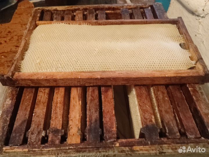 Магазин 10 рамочный руд + 10 рамок сушь