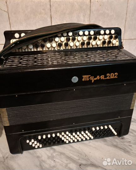 Баян Тула 202