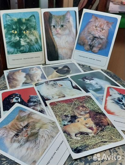 Открытки кошки. СССР