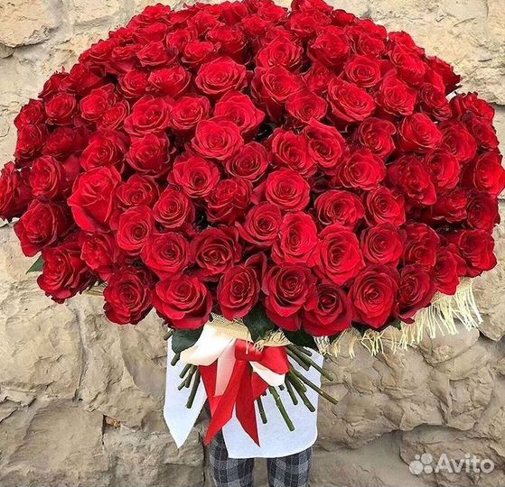 Высокие розы Гигантские розы 110