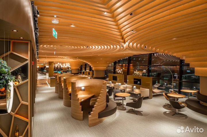 Проход в бизнес зал шереметьево