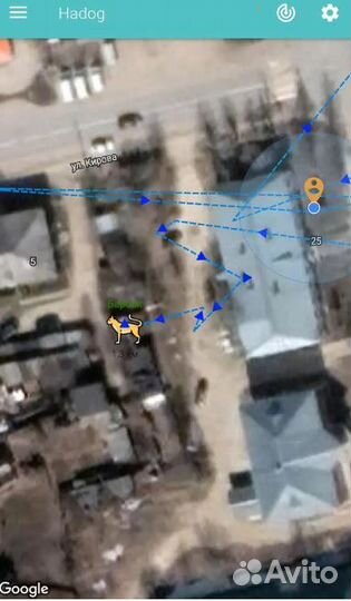 Hadog GPS трекер ошейник для собак кошек