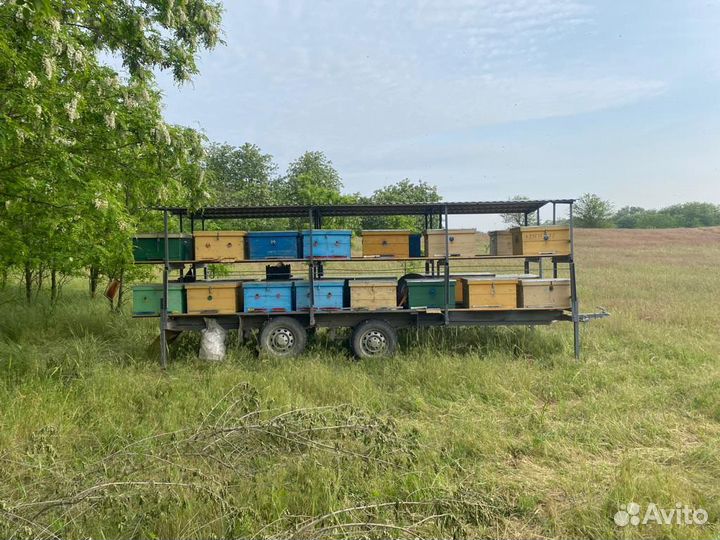 Прицеп с пчелами